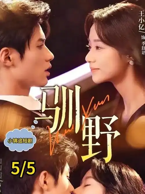 运河暗号 短剧海报